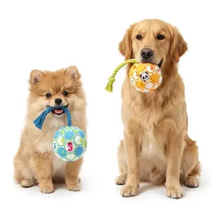 Durable Dog Biting Rope & Squeaky Ball Toys, Indoor-Outdoor Interactive Pet Accessories, Ideal Gift for Dogs