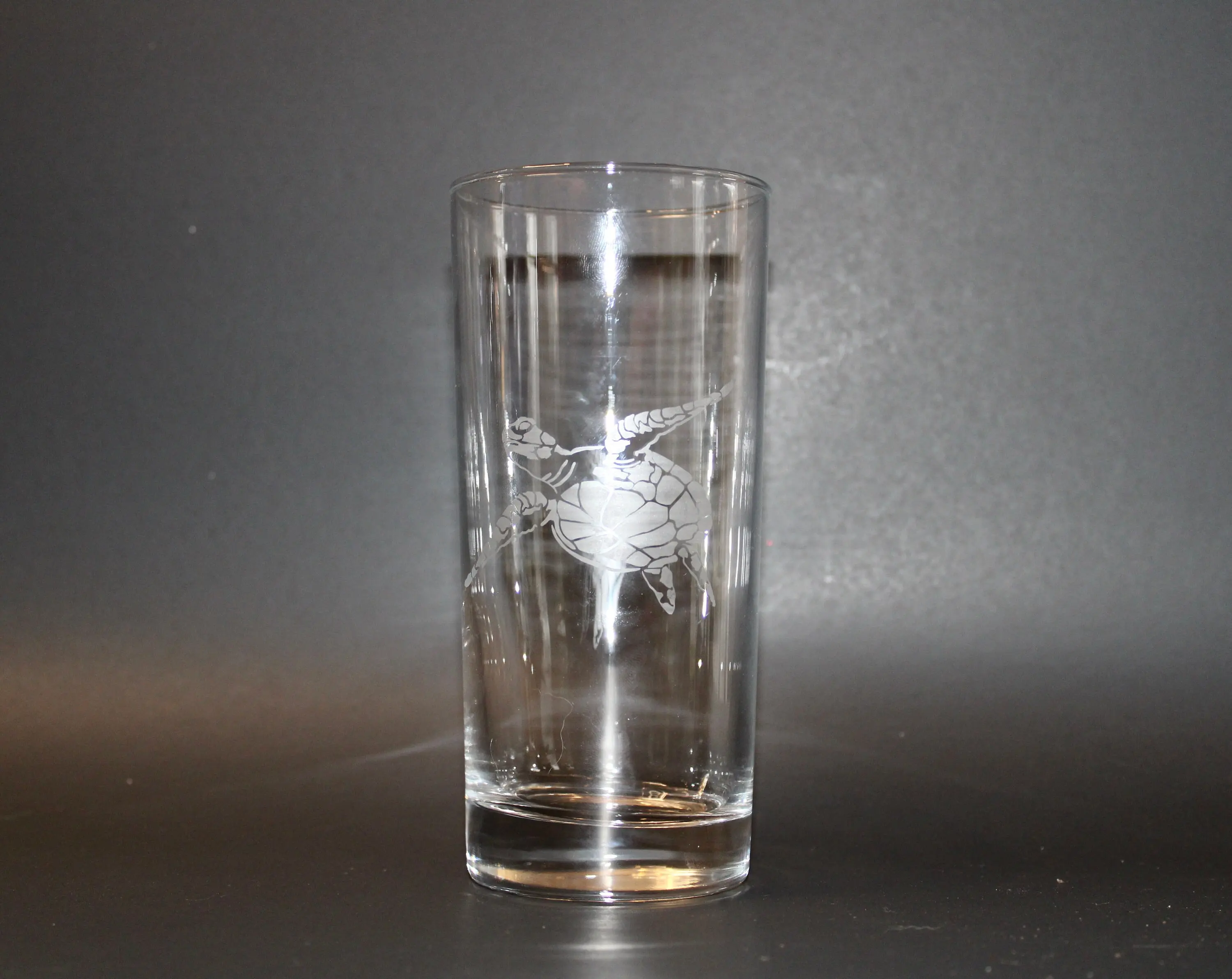 Sea Turtle Etched Glass