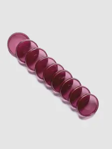 Transparent Planner Discs | Bordeaux Transparent Planner Discs | Bordeaux