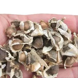 50 Moringa Seeds for Planting – Fast-Growing Tree Seeds for Home Gardens & Warm Climates – Easy to Grow with Proper Care – Seeds Only, Not Live Plants