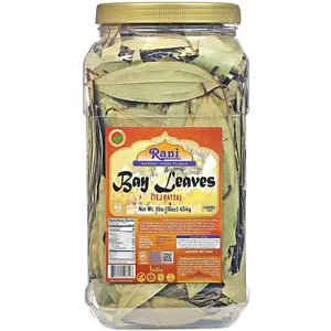 Rani Bay Leaf (Leaves) Whole Spice Hand Selected Extra Large 16oz (1lb) 454g PET Jar ~ All Natural | Gluten Friendly | NON-GMO | Vegan | Kosher | Indian Origin