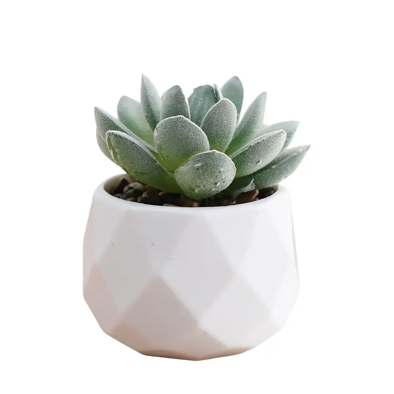 Miniature No-Water Artificial Succulent Plant, Ceramic Pot, Decorative Fake Potted Plant for Home Office Desk Decor, Small Realistic Decoration, Artificial Plants