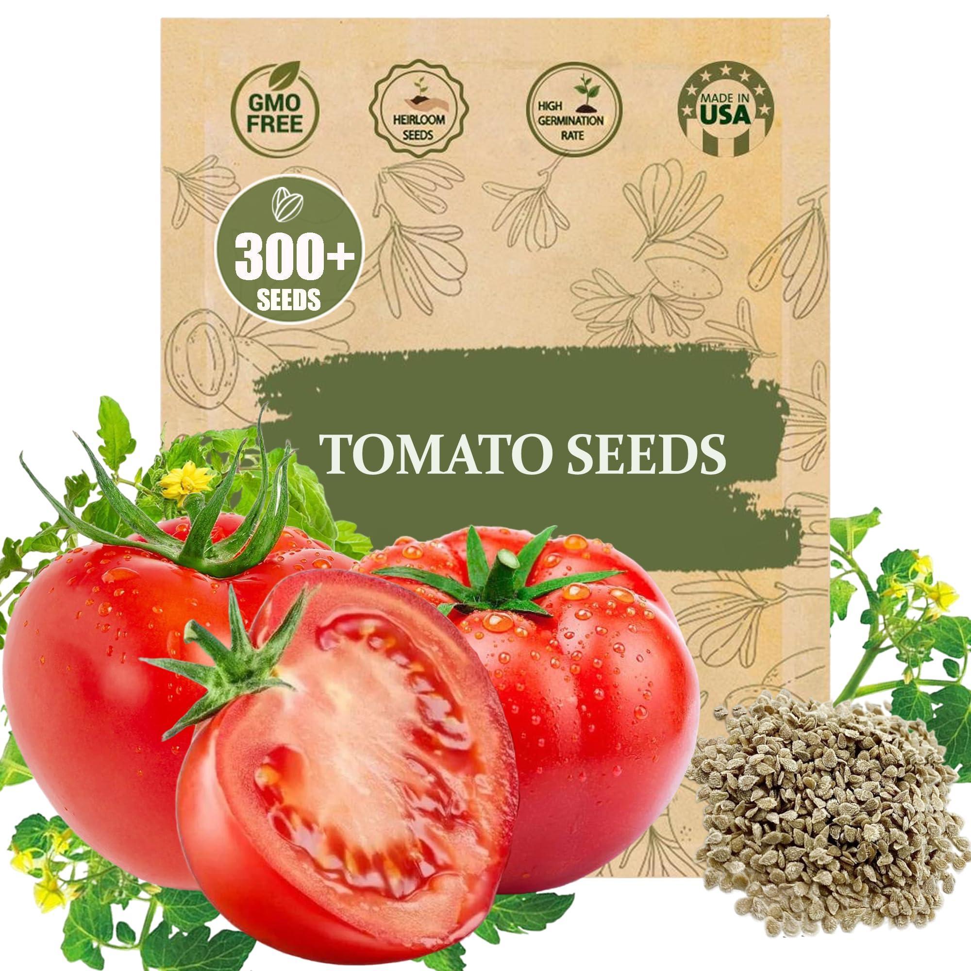 Premium Big Tomato Seeds – 300 Heirloom Non-GMO Seeds for Planting - Juicy, Large Red Tomatoes - Ideal for Home Garden, Outdoor, Patio, Containers, Vegetables, Fresh Tomato Gardening