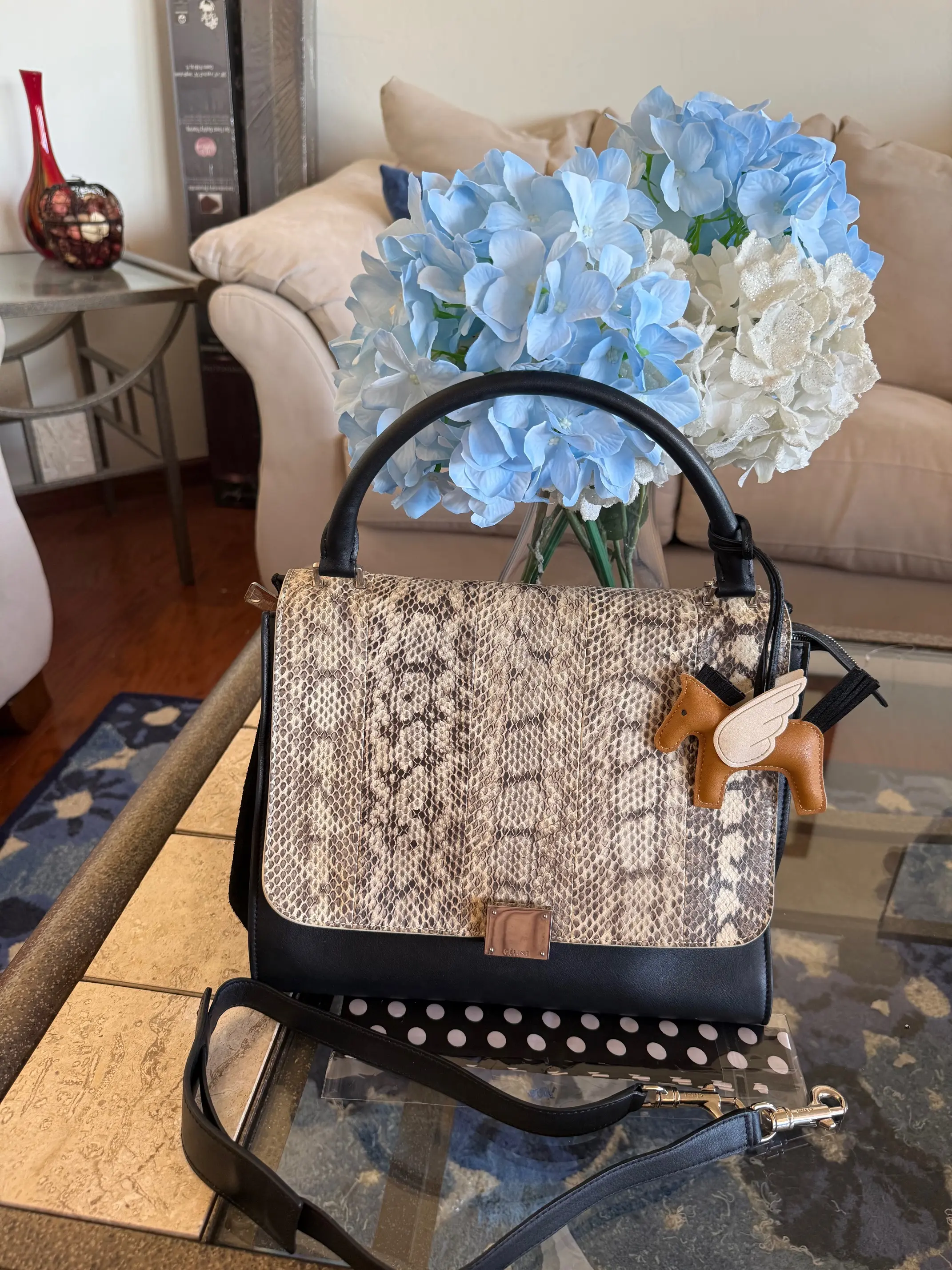 Pre-owned Celine Leather Shoulder Bags Trapeze Gorgeous Exotic and Calfskin Handbag with Shoulder Strap