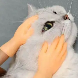 Mini Rubber Finger Model Toys, Realistic Cat Finger Puppets, Novelty Party Supplies, Prank Gifts, Christmas Decorations