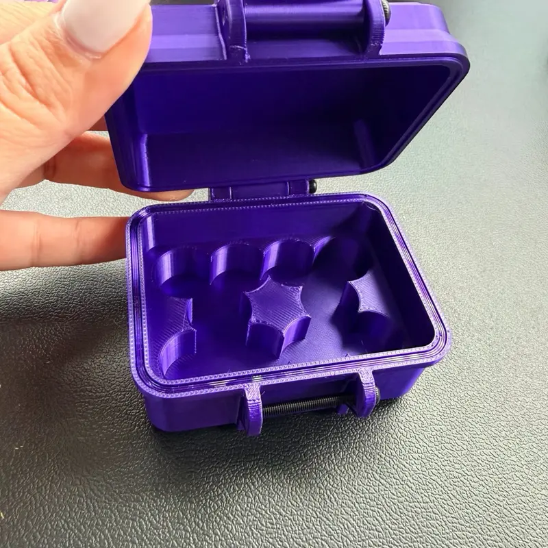 Purple Collection 10 3ml Vial Case Vault, Refrigerator Storage Container For your vials