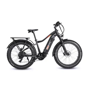 Toury Fat Tire Utility eBike
