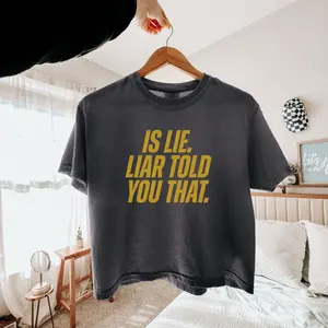Is Lie Liar Told You That Comfort Colors Womens Boxy Tee, Connor Storrie Heated Rivalry Inspired Shirt, Ilya and Shane Hockey MM Book Merch