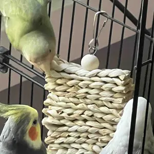 Random Bird Parrot Swing Toy, 5 Counts/Set, Chewing, Standing and Hanging Perch, Hammock and Climbing Ladder, Bird Cage Toys for Budgerigar, Parakeet, Finches and Other Small to Medium Birds, Bird Perches for Cage