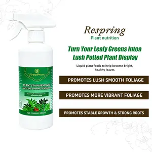 Natural Plant Cleaning Solution to Remove Surface Stains and Support Healthy Leaf Growth
