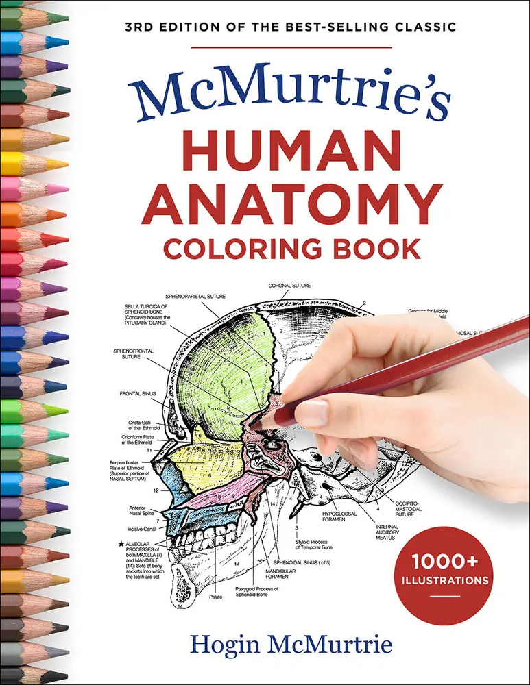 USED Book - McMurtrie's Human Anatomy Coloring Book by McMurtrie, Hogin (Paperback) - english