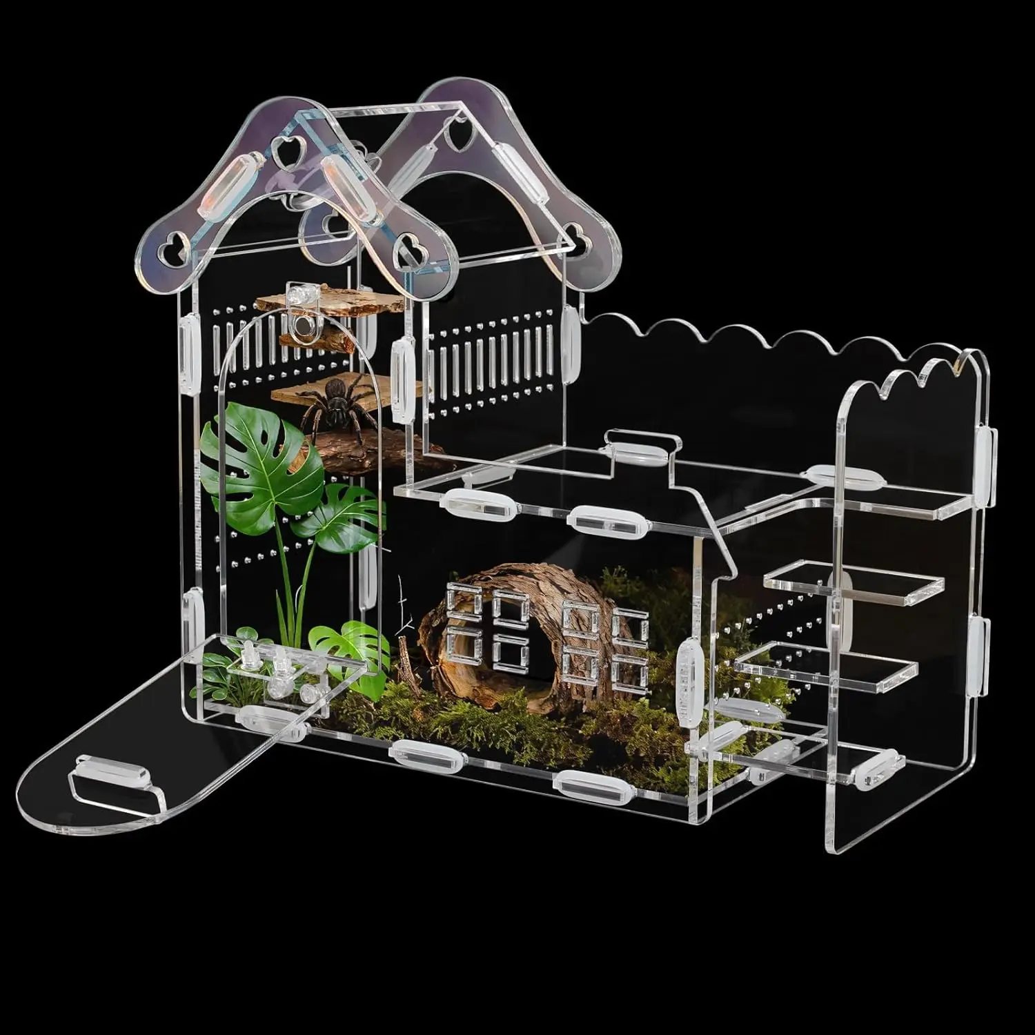 Spider Enclosure with Mushroom House, Easy-Feed Hole & Front Opening – Terrarium for Tarantula, Mantis, Beetle, Gecko, Hermit Crab, Reptile Habitat