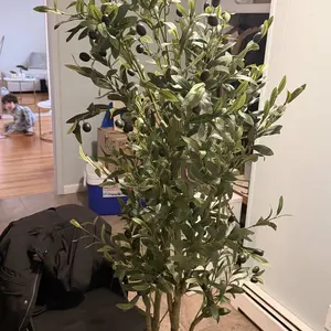 review image 1