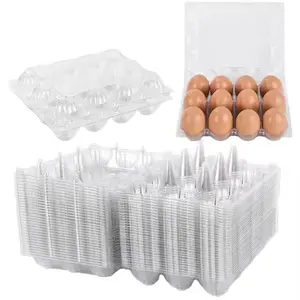 Multiple Pack Transparent Plastic Egg Container Egg Carton Reusable Eggs Carrier, Durable & Eco-Friendly Storage Solution for Home Use