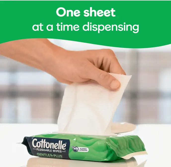 Flushable Wet Wipes with Aloe & Vitamin E, 6 Flip-Top Packs, 42 Wipes Per Pack (252 Total Wipes), Packaging May Vary
