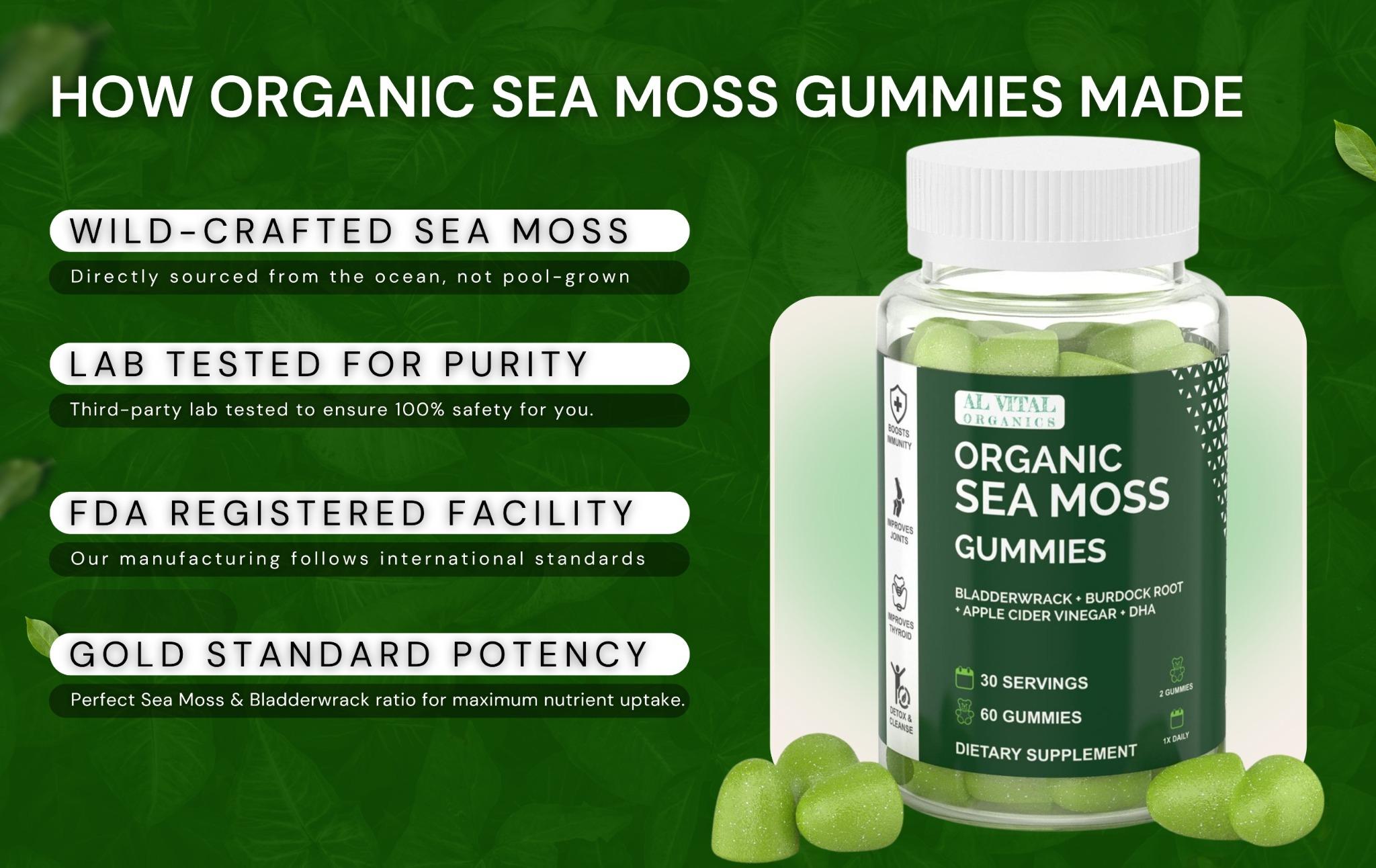 Al Vital Organics Sea Moss Gummies | Organic Natural Superfood | Essential Vitamins & Minerals | US-Made Dietary Supplement | 60 Gummies Al Vital Organics Sea Moss Gummies | Organic Natural Superfood | Essential Vitamins & Minerals | US-Made Dietary Supplement | 60 Gummies