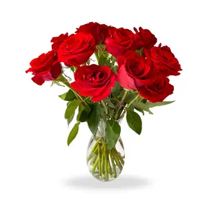 Dominica Bouquets Red Roses Bouquet - 18 Fresh Fall Red Roses Fast Delivery with Vase, Fresh Flowers for Occasions and Decoration - Fresh Cut Flowers with Reliable Delivery - Free Verse