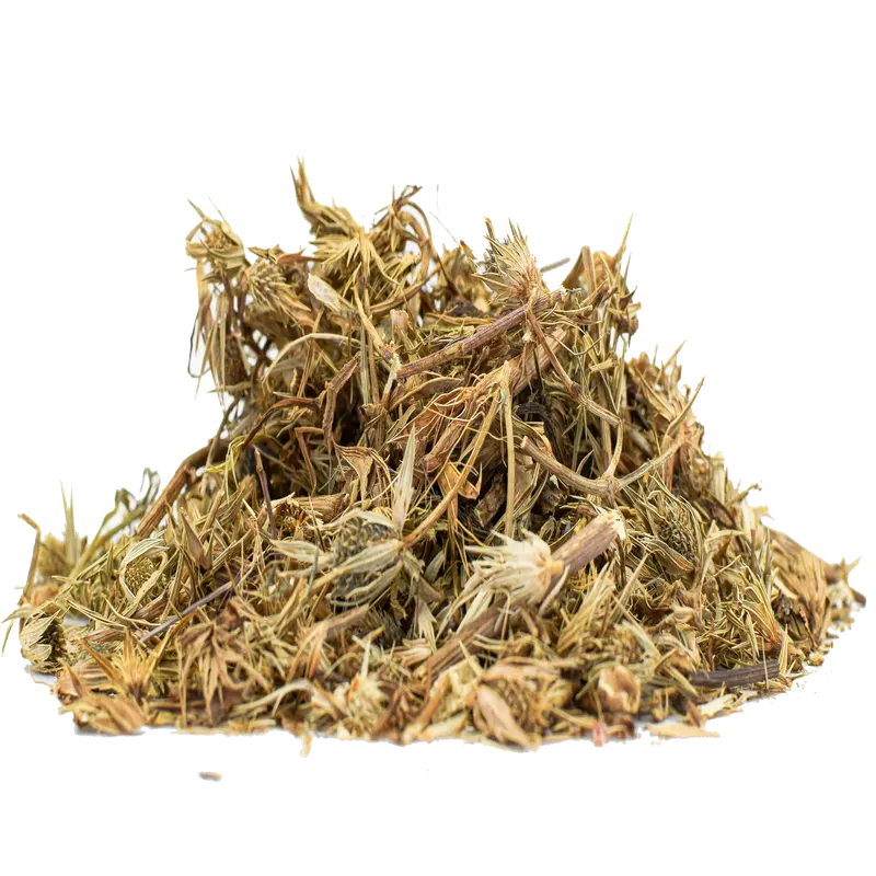 Hierba Del Sapo 2oz Tea Beverage - Mexican Thistle Herbal Tea for Potential Health Benefits & Flavorful Spice Drink