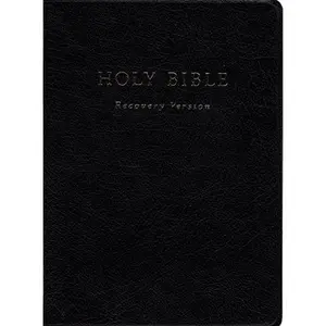 USED-Holy Bible Recovery Version (Unknown)