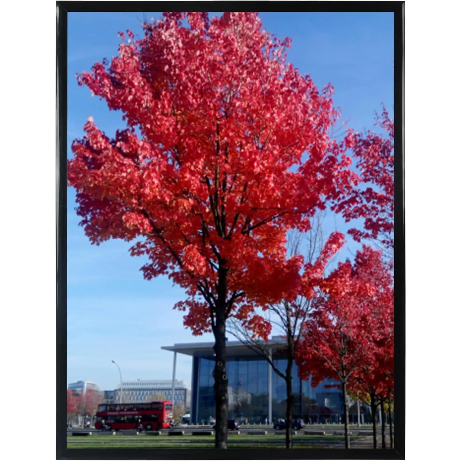 16x24 Poster Frame Black,Display Pictures 16x24 Picture Frame, Studio Gallery Frame, Wall Schools Colleges Sign Frame, 1 Pack