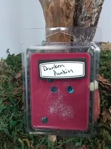 Drunkin Punkin - Wax Melt - Clamshell