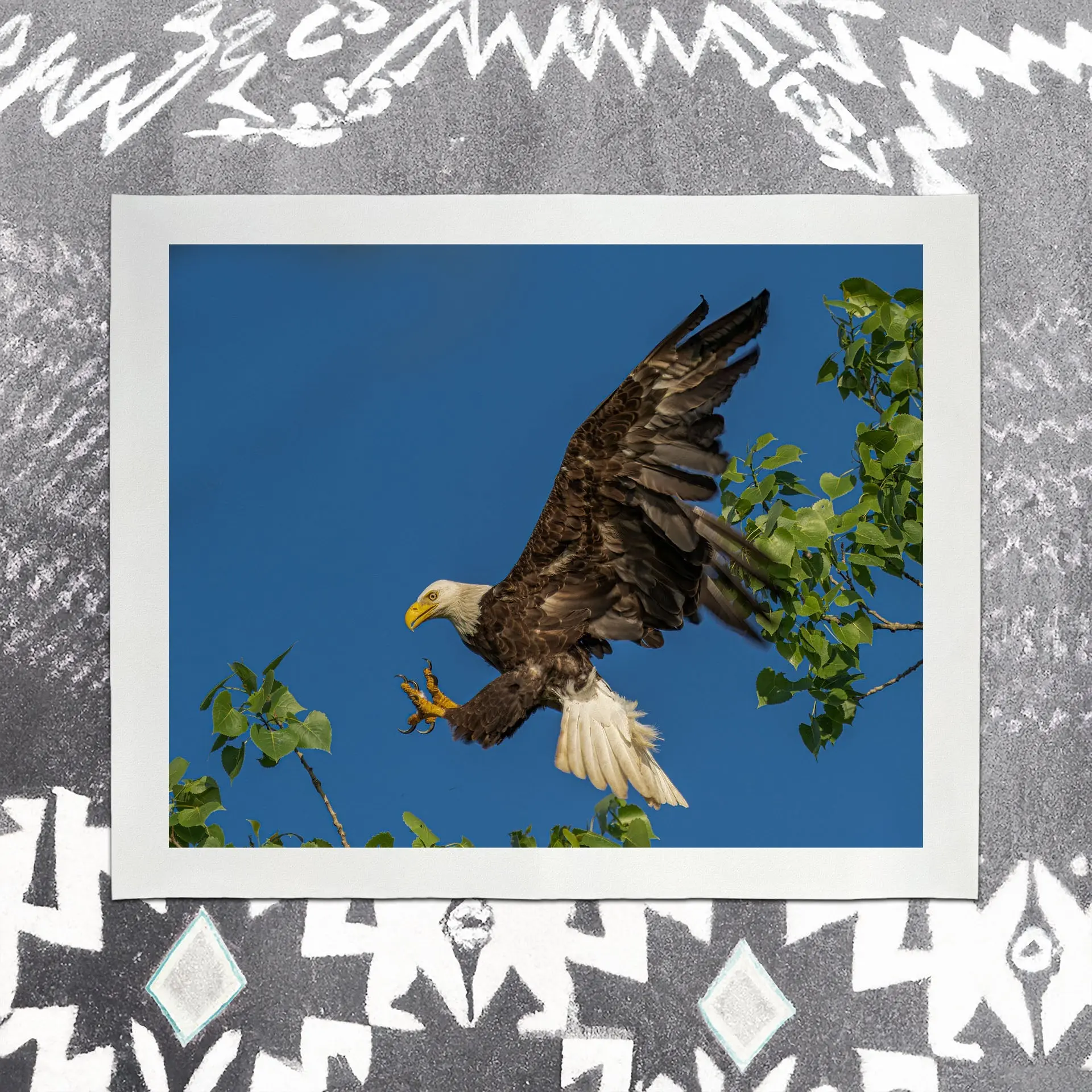 Eagle IV
