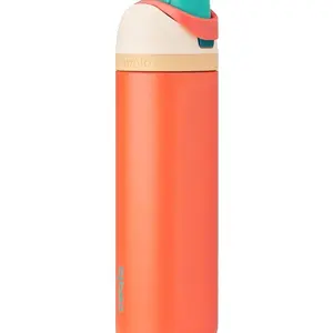 Owala  Princess FreeSip Insulated Stainless Steel Water Bottle with Straw for Sports and Travel, BPA-Free Sports Water Bottle, 24 oz, Moana