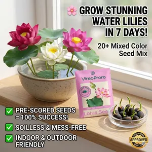 20+ Pcs Mixed Color Bowl Lotus Seeds - Grow Stunning Soilless Water Lilies In 7 Days! High Germination, Beginner Friendly, Indoor/Outdoor Decor for Home & Office (Non-GMO, Just Add Water)