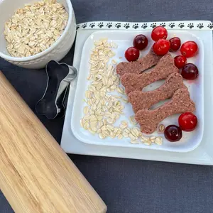 Cranberry Craze Organic Homemade Dog Treats