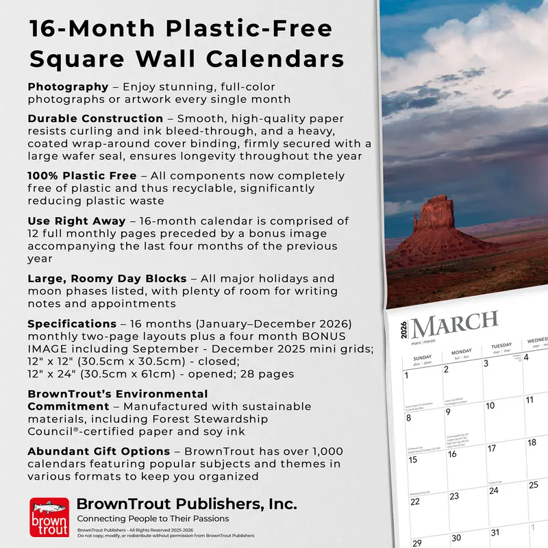 A Perfect Storm | 2026 12 x 24 Inch (Hanging) Monthly Square Wall Calendar | Foil Stamped Cover | Plastic-Free | BrownTrout | Worldwide Weather 5