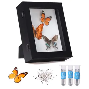 IHEIPYE Large Black Insect Shadow Box - Wall Mount Bug Display Case with Anti-Fade UV Acrylic Top, EVA Foam Pinning Board & Pins for Butterfly Specimens