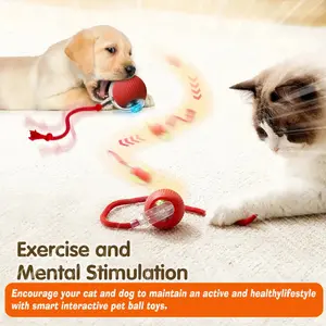 Interactive Rolling Cat Ball Toy with Tail, USB Rechargeable Smart Pet Toy for Indoor Cats & Dogs