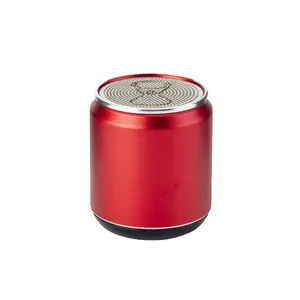 Mini metal model with lanyard, portable outdoor compact Bluetooth speaker