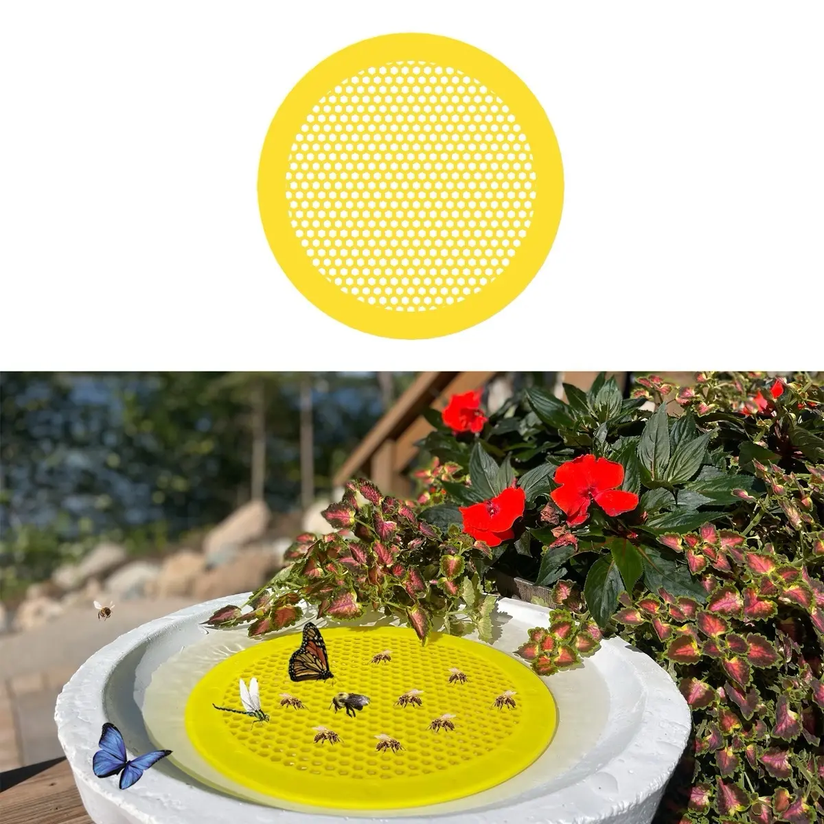 Bee Pontoon - Bee Watering Station, Bee Waterer, Bee Feeder, Garden Decor