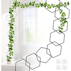 20 count Chain Trellis for Climbing  Indoor, Metal Hexagonal Wall  Support Accessories for Vine Growth, Ivy, Pothos Live  Climber