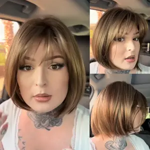 Wigyy Straight Highlighted Elegant Wig for Daily Use