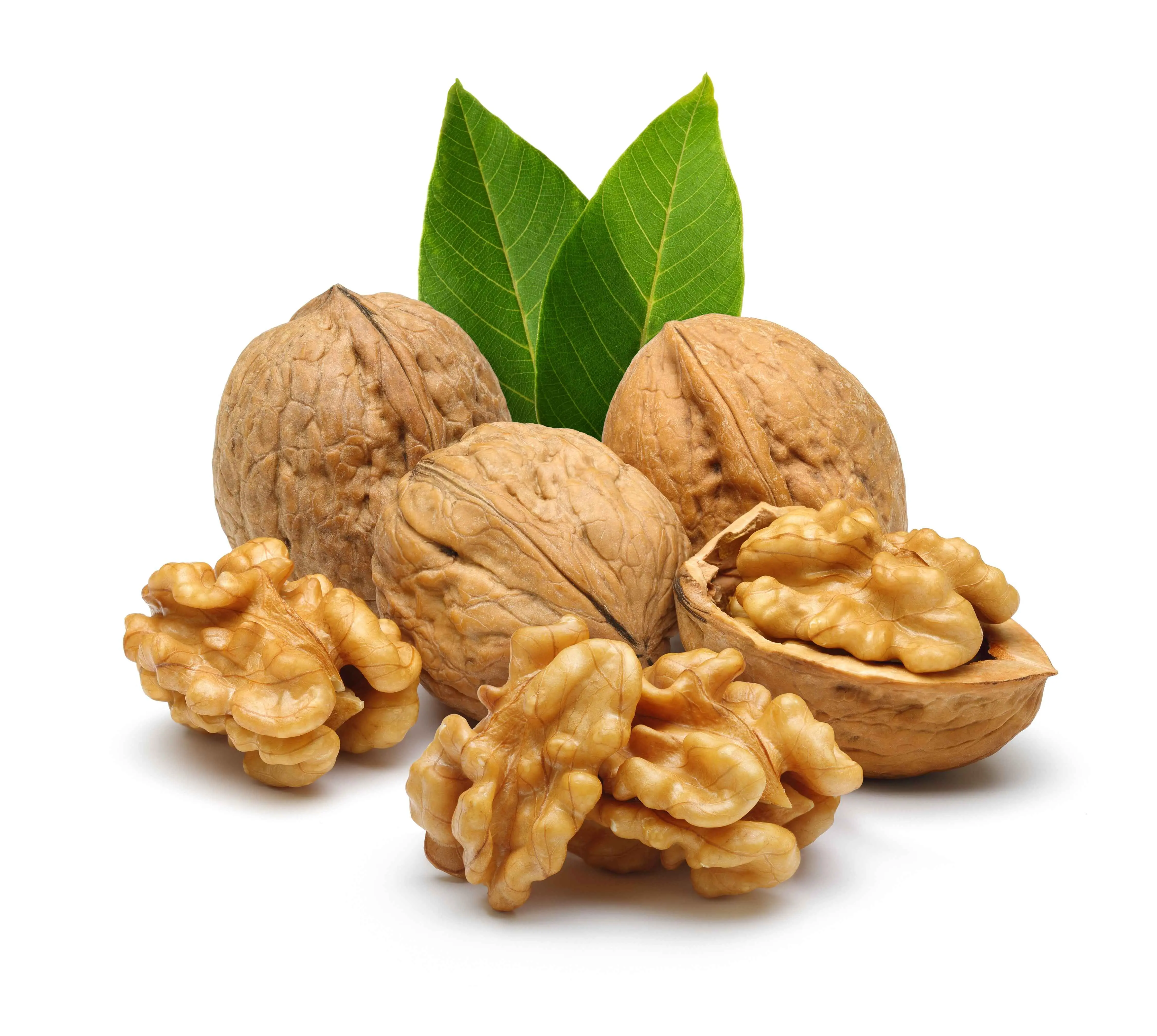 FirstChoiceCandy whole walnuts enclosed within their Shell - 2 Pound