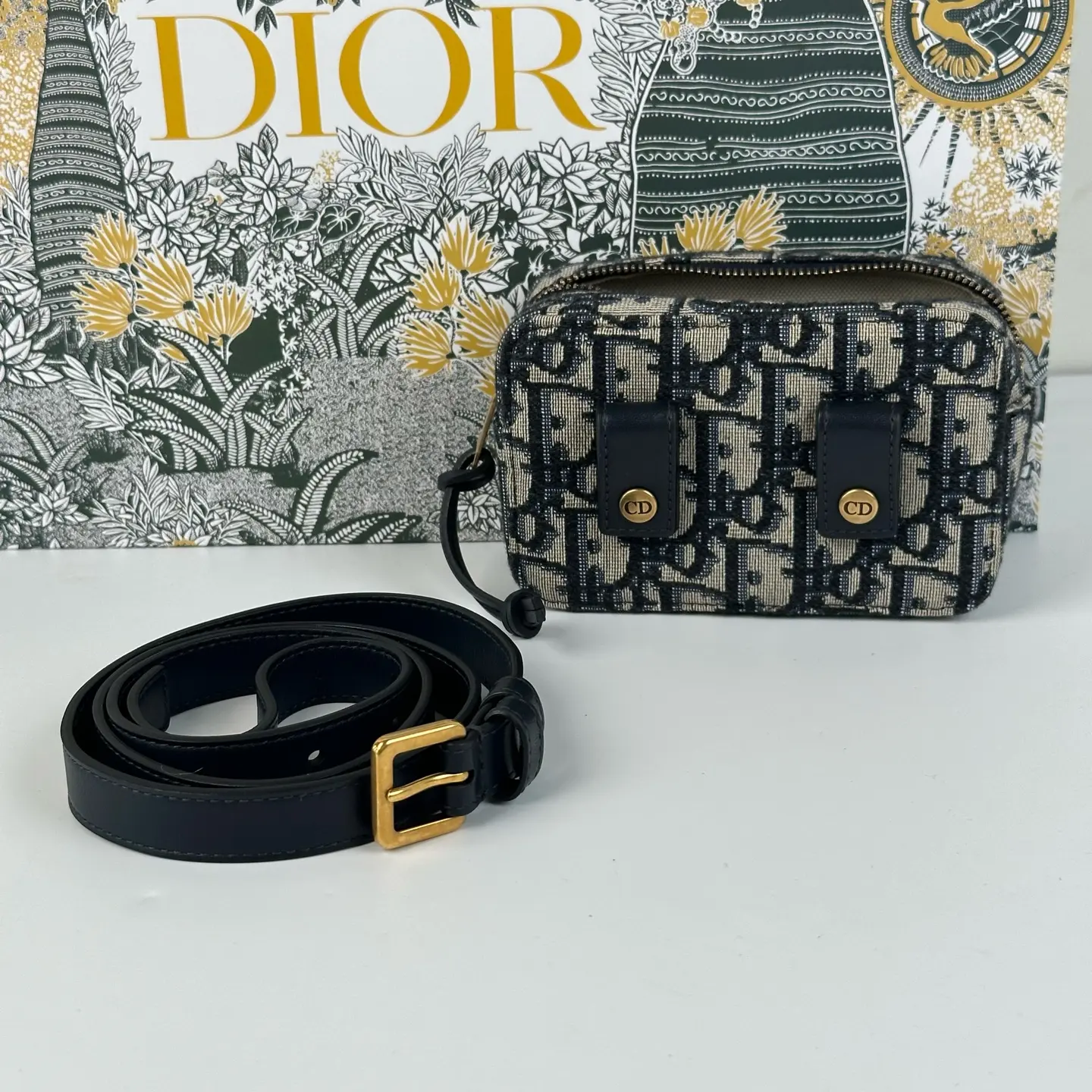 Pre-owned Dior Mini Oblique Canvas Camera Belt Crossbody Bag