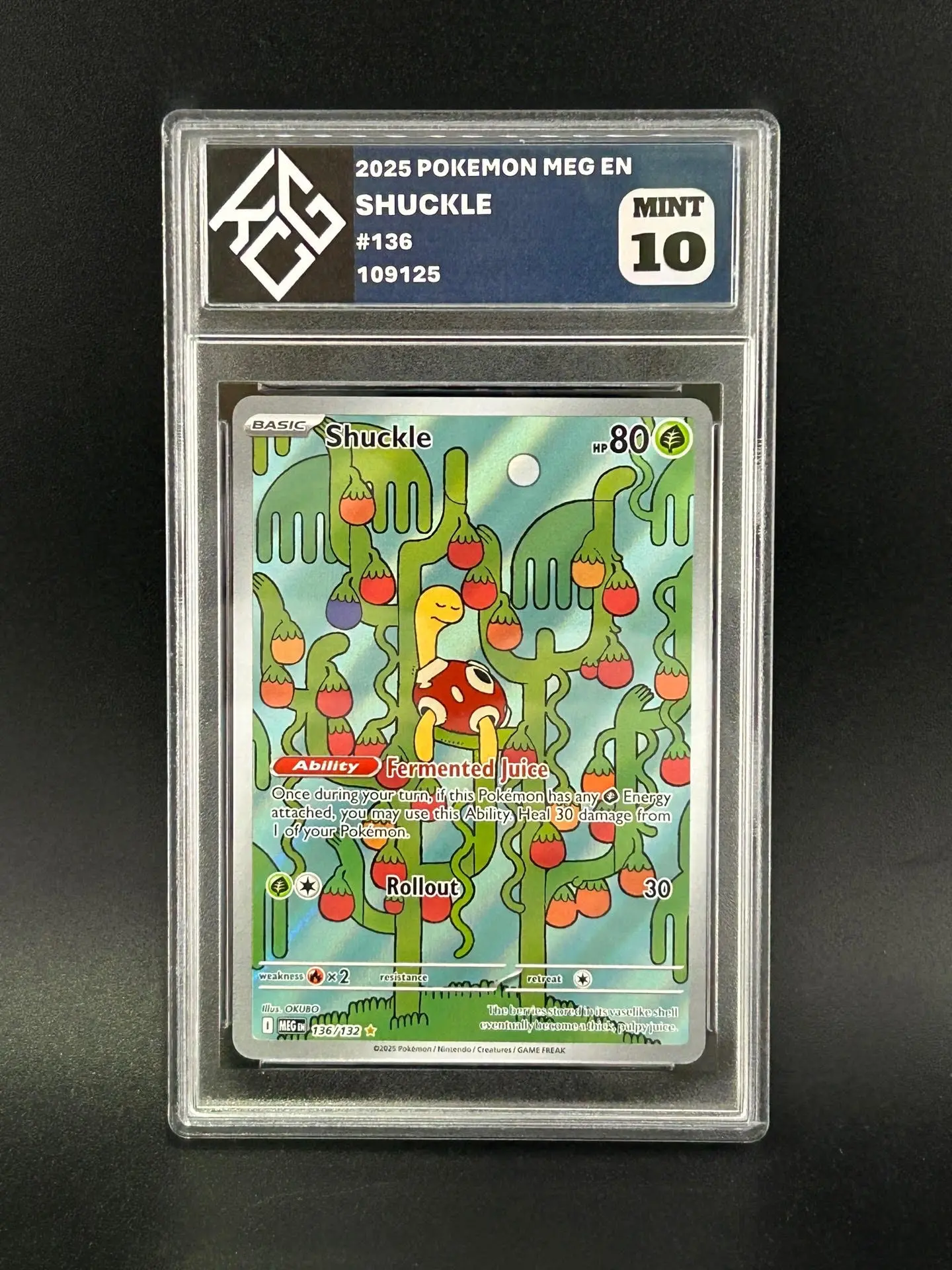 King Card Grading Pokmon Mystery Slabs - TikTok Shop King Card Grading Pokmon Mystery Slabs - TikTok Shop
