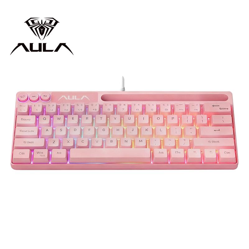 AULA F3061 mini wired keyboard, 61-key layout, plug and play, cool lighting, 22-key no impact, ergonomic design, simple and portable, compatible with Windows/Mac system equipment connection, RGB Backlit Keyboard