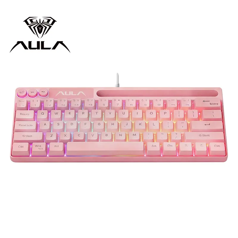 AULA F3061 mini wired keyboard, 61-key layout, plug and play, cool lighting, 22-key no impact, ergonomic design, simple and portable, compatible with Windows/Mac system equipment connection, RGB Backlit Keyboard
