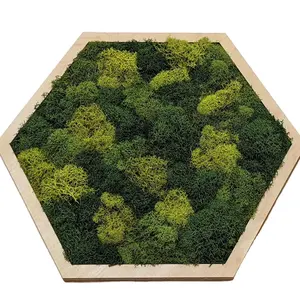 Simply Soundless Artscaped Mixed Thick Moss Tile Sound Panel Accent