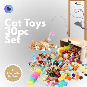 Cat Toy Set - 30 pieces - Toys - Stress Relief