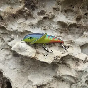 Frill Crankbait