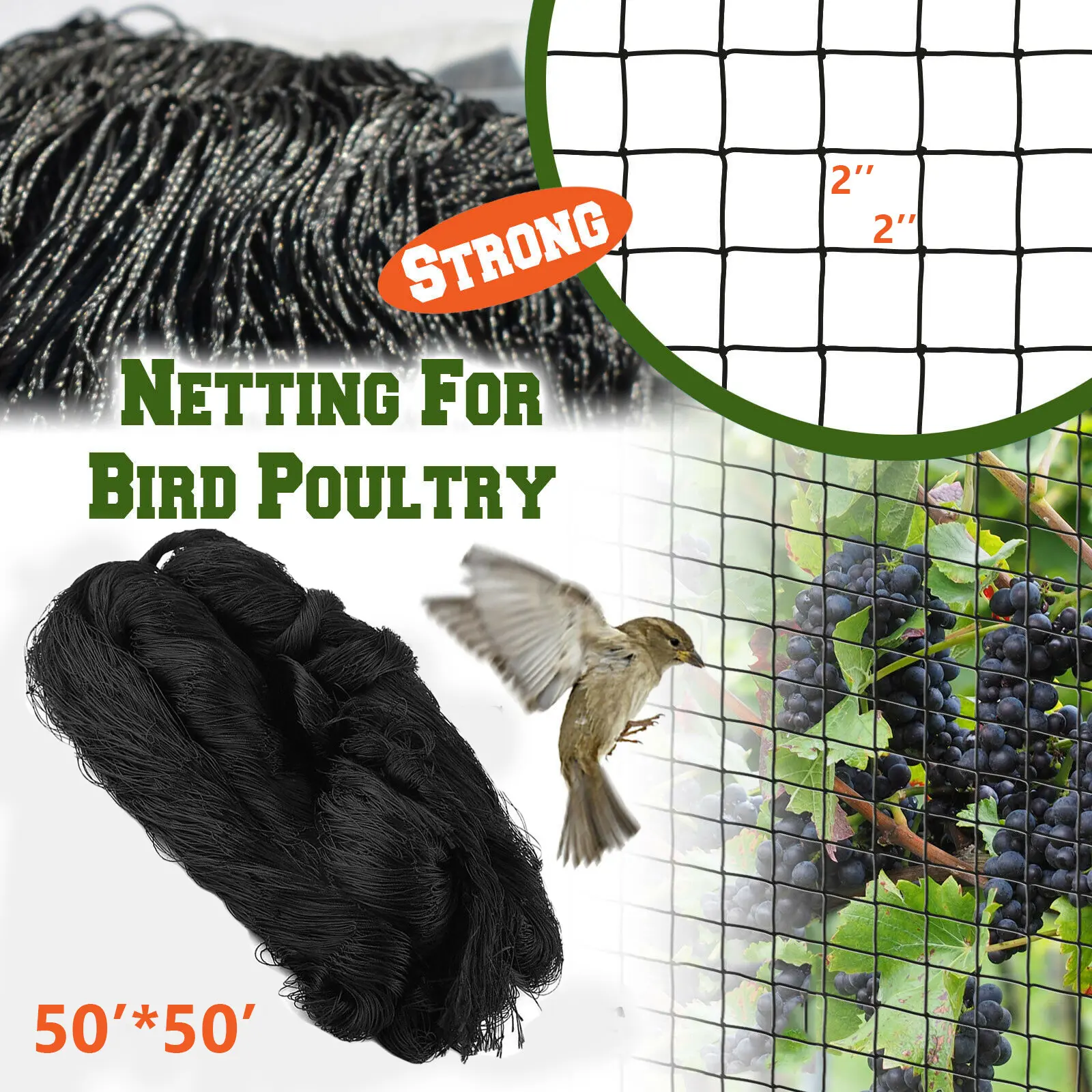 50X50ft bird net poultry quail net chicken net barrier garden - 50X50ft bird net poultry quail net chicken net barrier garden -