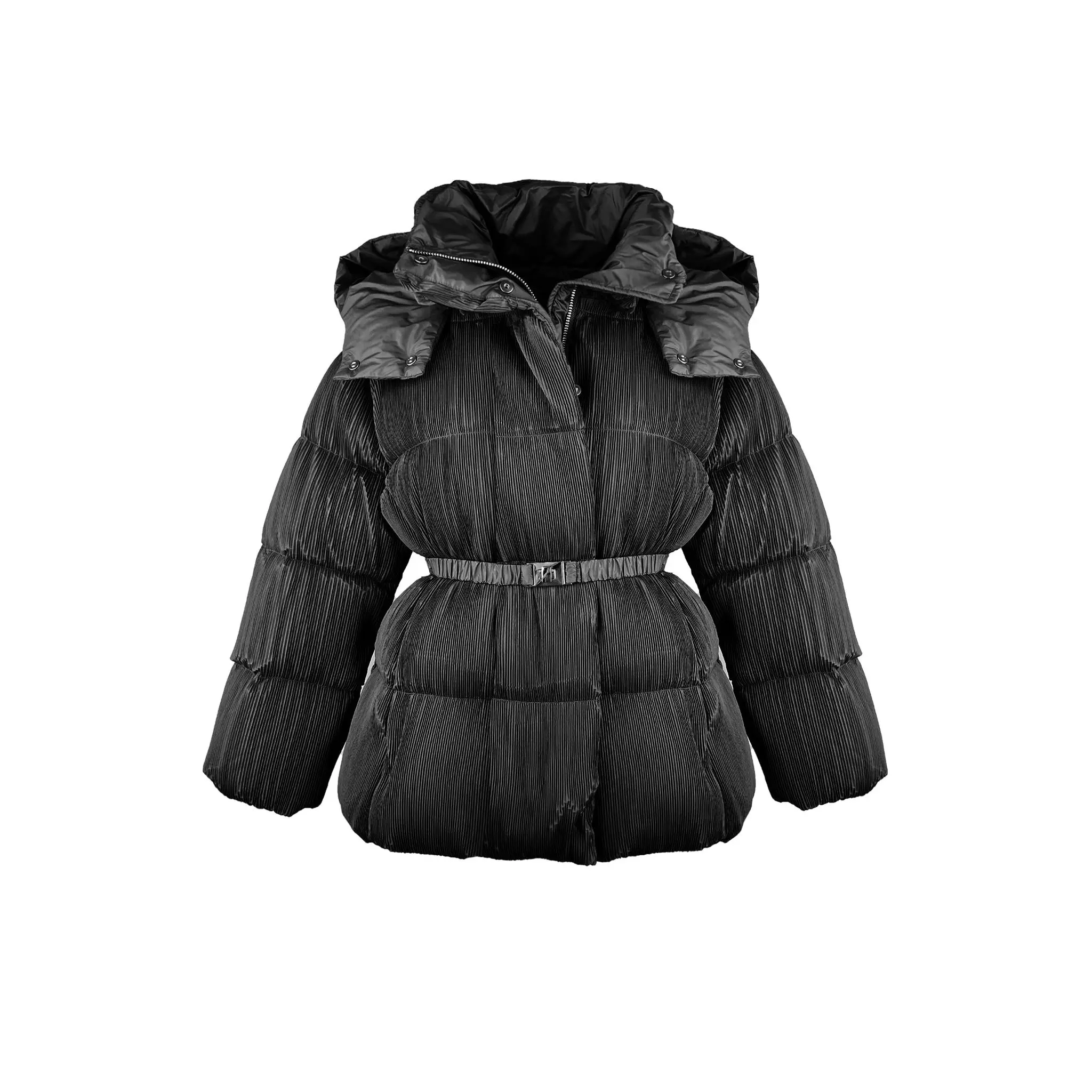Emily Down Goose Plissé Puff Jacket