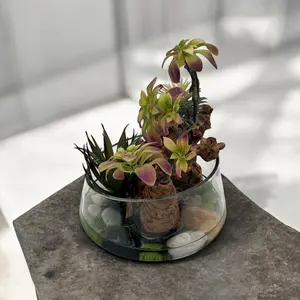 Succulent Design in Clear Circular Irregular Shaped Glass Vase with Epoxy | Unique Succulent Vase with Artificial Succulents | Perfect Arrangements for Housewarming Gifts