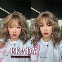 Dark Brown Highlight