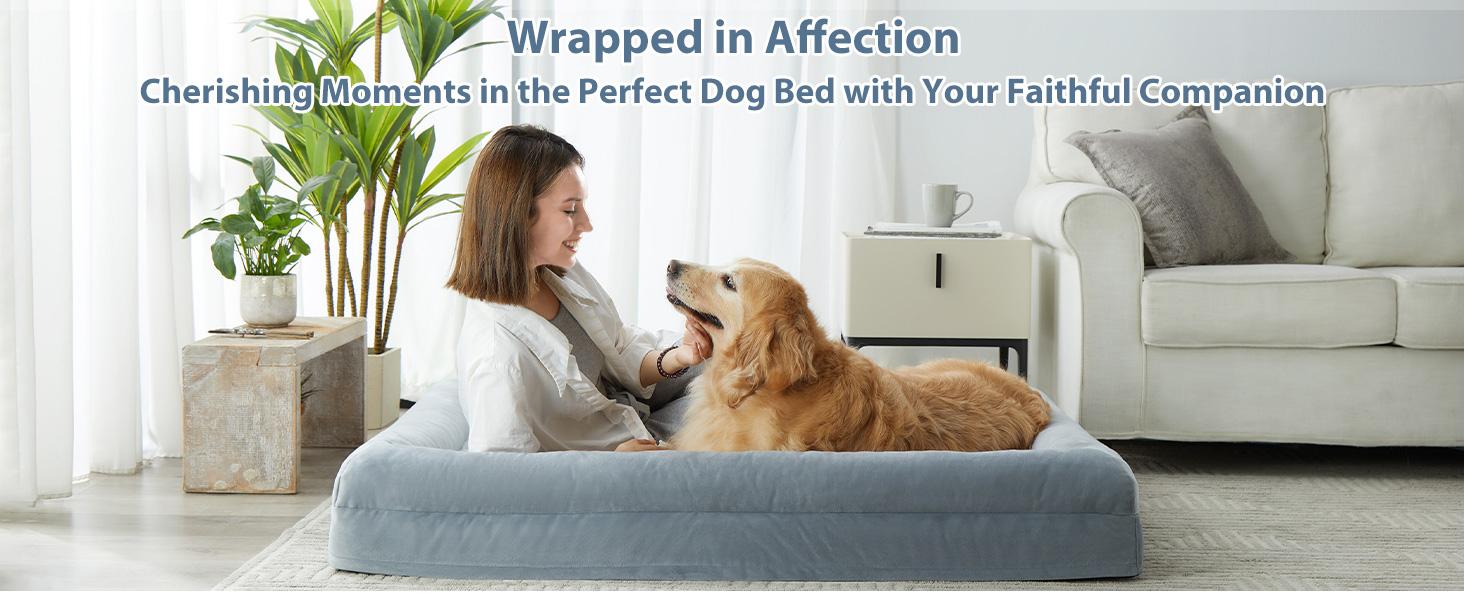 Large Orthopedic Dog Bed - Snap-On Modern Plain Design, Egg Sponge Egg-Crate Pressure Relief, Washable Couch with Removable Waterproof Velvet Cover, Skin-Friendly Bolster-Sides for Joint Relief & Comfortable Private Space, Puppy Bed, 45 X 35 X 7 Inches
