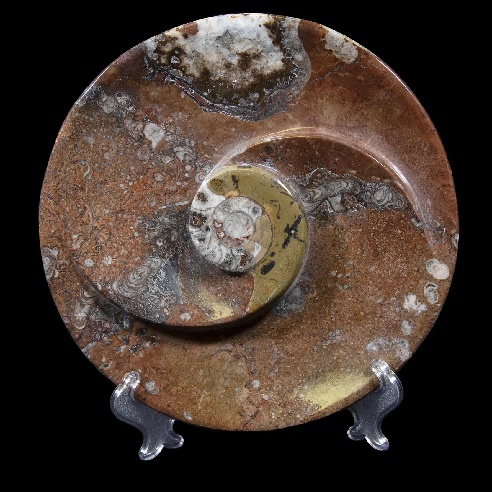 Brown Ammonite Round Spiral Dish Plates